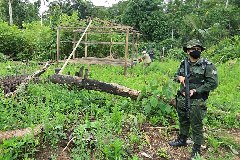 fitiws DESINTRUSÃO -  A nova arma do Governo para aterrorizar o agronegócio em Rondônia