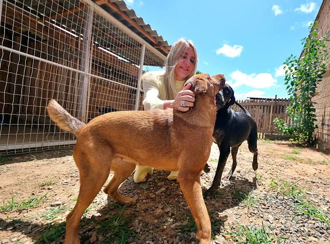 images-13 CAUSA ANIMAL - “O meu salário não é metade do que eu gasto com cachorro”, diz Ieda Chaves
